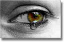 pleure